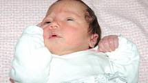 Janě a Karlu Netroufalovým z Teplic se 10.9. v 9.16 hodin narodila v Litoměřicích dcera Hana (47 cm, 2,89 kg).
