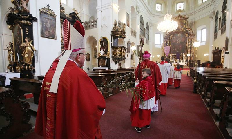 Mše svatá o Květné neděli v Litoměřicích