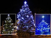 To jsou oni. Králové mezi letošními vánočními stromy na Litoměřicku. Z Roudnice, Libochovic a Chotěšova