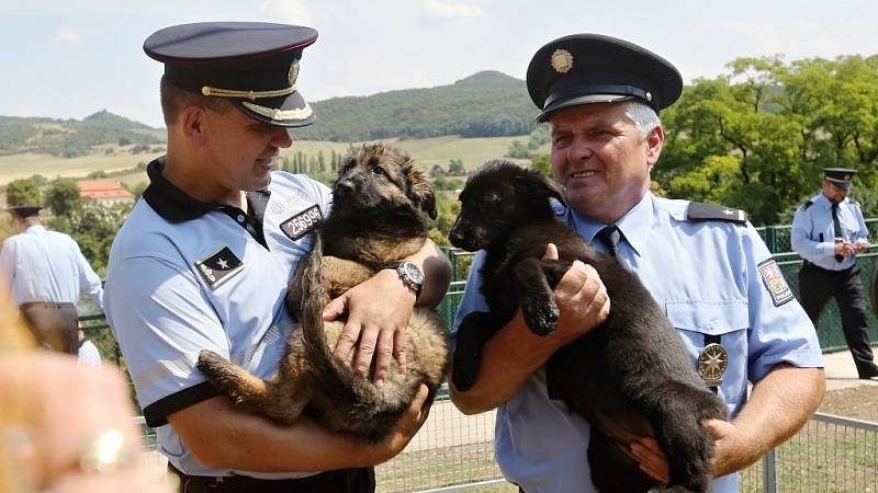 Chovná stanice služebních psů Policie ČR se po pěti letech opět přestěhovala zpět do Prackovic nad Labem.