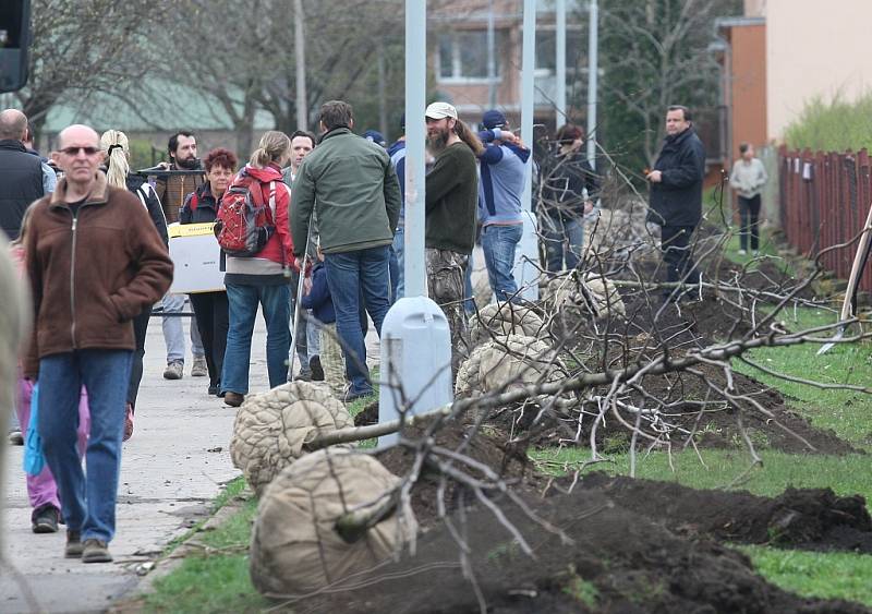 Akce Zasaď si svůj strom v Litoměřicích