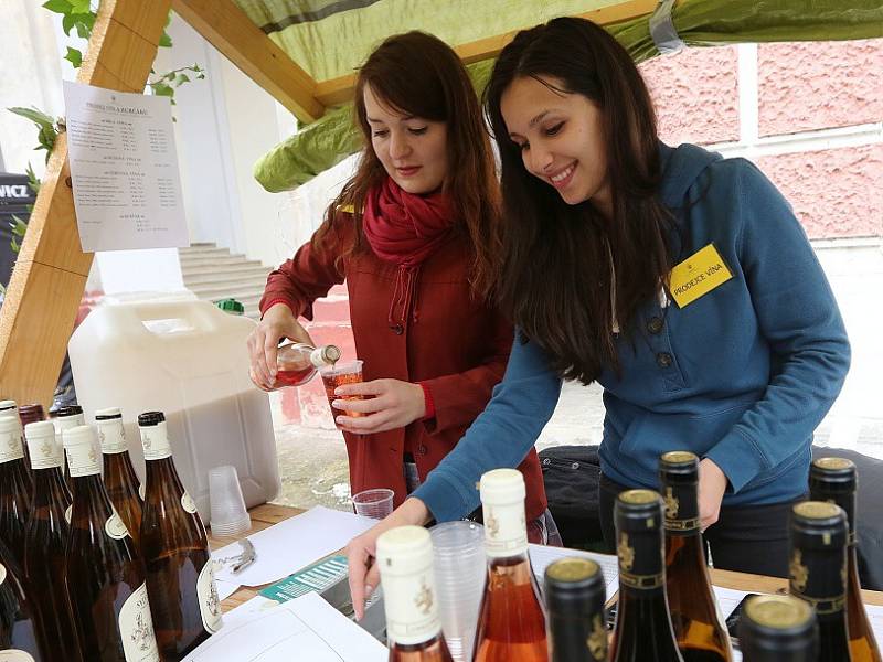 Vinobraní v Roudnici nad Labem