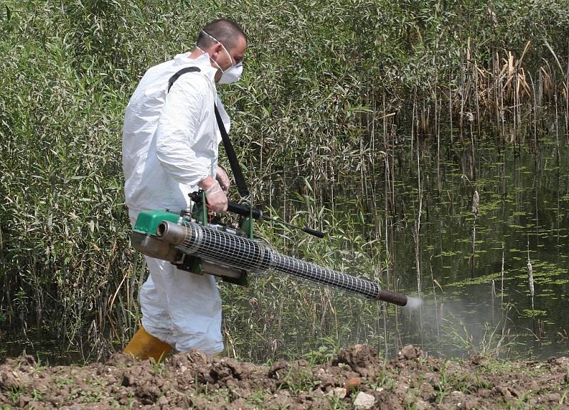 CHEMIE. Pracovníci dezinsekční a deratizační firmy likvidují larvy i vylíhnuté komáry v Bohušovicích. V terénu nyní budou každý den, pokud to počasí dovolí.