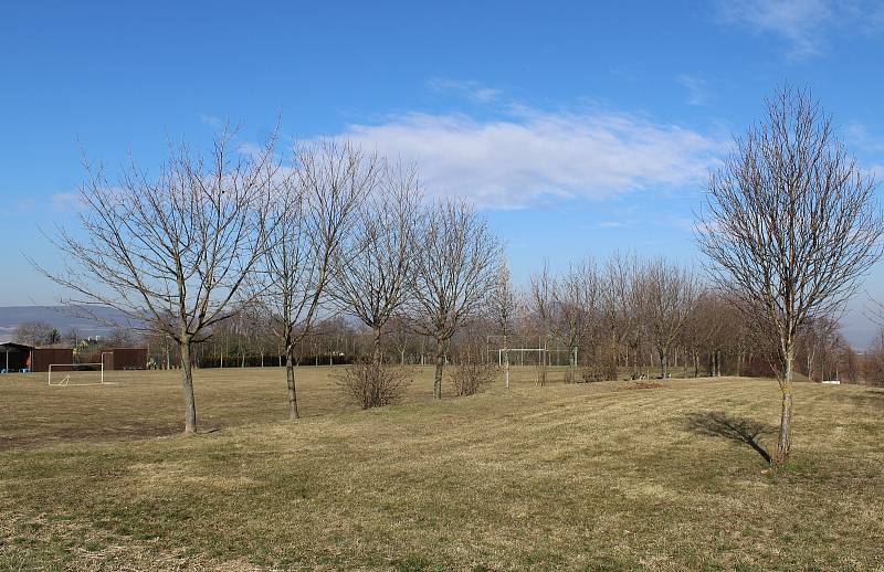Za fotbalovým hřištěm v Siřejovicích je roste lesopark.