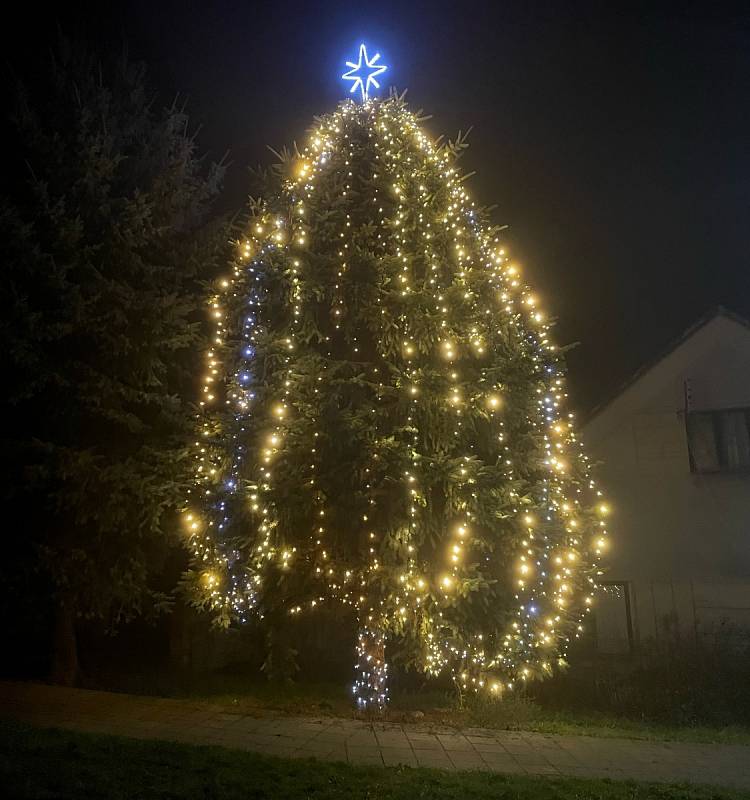 Vánoční strom v Bříze