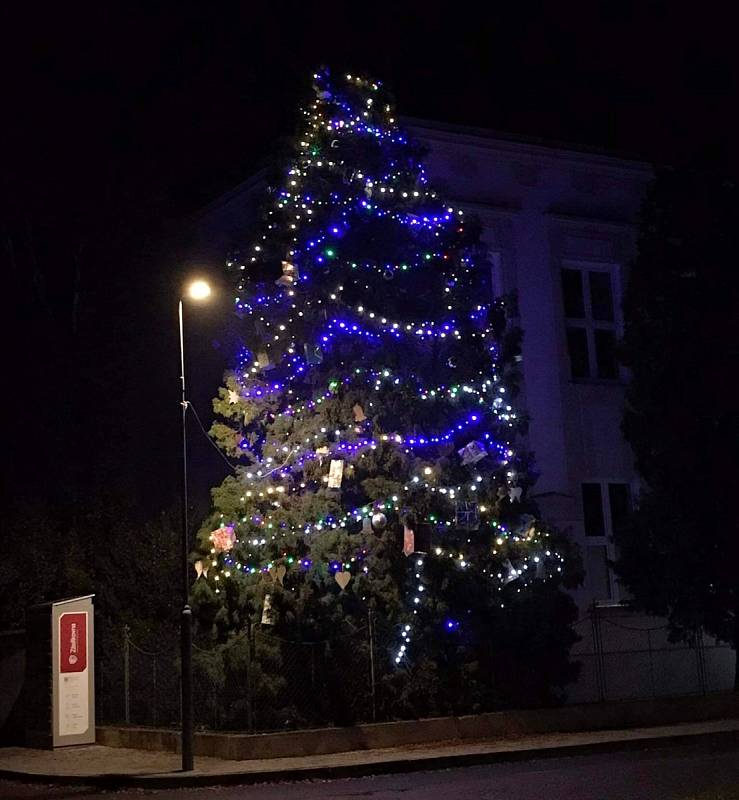 Vánoční strom u školy v Českých Kopistech