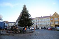Na roudnické Karlovo náměstí v úterý 23. listopadu přivezli vánoční strom.