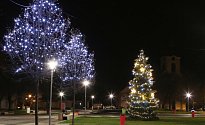 Vánoční strom v Lovosicích.