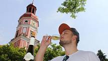 Roudnický košt nabídl vína z litoměřické a mělnické vinařské podoblasti. Doplnila ho také přehlídka historických malotraktorů na Karlově náměstí.