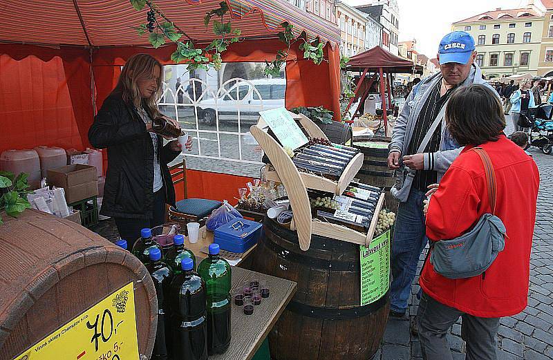 Vinobraní Litoměřice 2011 - pátek