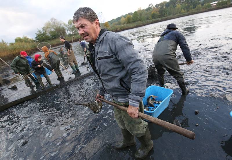 Tradiční podzimní výlov rybníka měl letos kvůli pandemii koronaviru méně přihlížejících diváků.