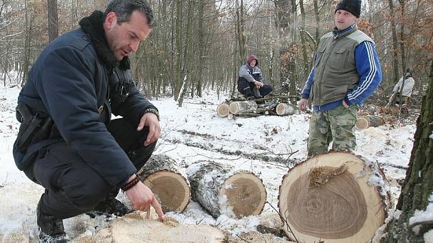 Kontroly v lese pod Košťálovem