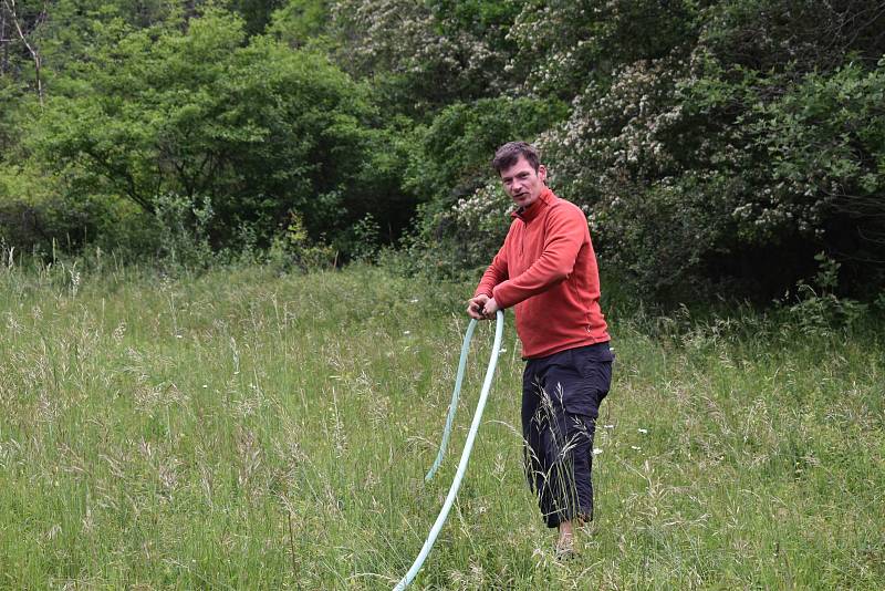 Ajťák David Vedra pase ovce pod Košťálovem, vodu k nim dostává systémem hadic