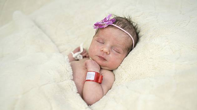 Vítáme vás na světě! Nově narozená miminka na Litoměřicku a Podřipsku -  Litoměřický deník