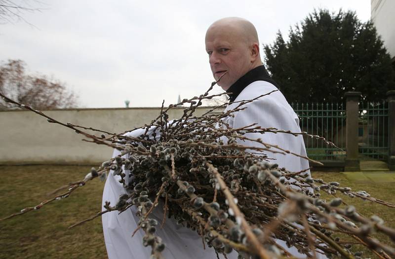 Mše svatá o Květné neděli v Litoměřicích