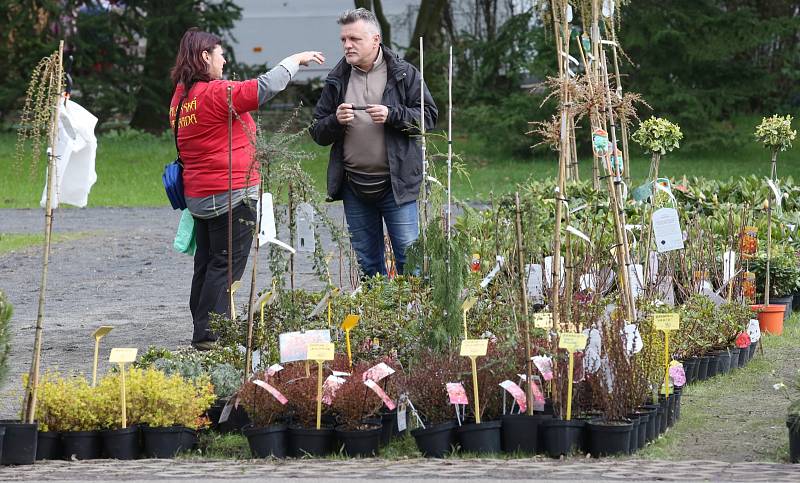 Tržnice Zahrady Čech, středa 5. dubna 2017