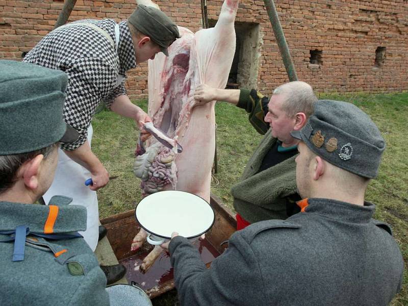 Plukovní zabíjačka u příležitosti secvičné klubů vojenské historie v Terezíně  v rakousko-uherských uniformách.