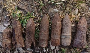 Hledač "pokladů" našel u Travčic sedm dělostřeleckých granátů.
