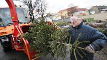 Likvidace vánočních stromků v Lovosicích.