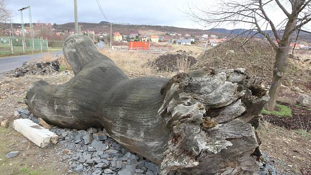 Dřevěná skulptura, která byla v březnu 2010 odstraněna z Jezuitských schodů v Litoměřicích nakonec skončila na soukromém pozemku místní firmy. Zůstalo z ní v podstatě jen torzo a pár dřevěných prvků.