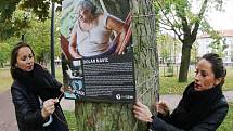 Zaměstnankyně litoměřického úřadu instalují v Jiráskových sadech Výstavu na stromech.