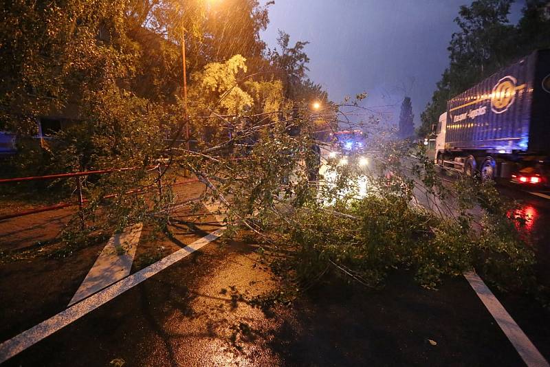 Úterní noční bouřka na Litoměřicku napáchala škody na poškozených střechách domů a vyvrácených stromech popadaných do silnice.