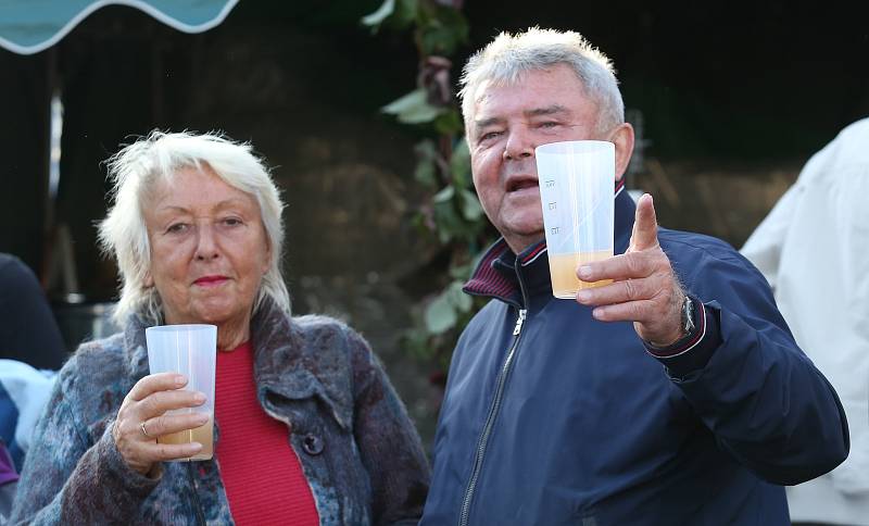 V pátek začalo tradiční vinobraní v Litoměřicích, které bude pokračovat v sobotu hlavním programem.