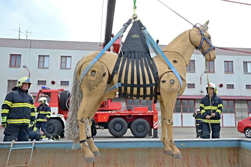 Hasiči cvičili v Terezíně vyprošťování s živým koněm