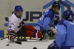 Czech Sledge Open 2014 v Litoměřicích: Česko - Itálie