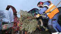Štěpkování vánočních stromků v Litoměřicích