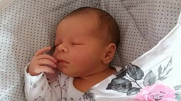 Michaele a Miloslavu Zlesákovým se ve středu 30. června  v 7:53 hodin narodila dcera Natálie Zlesáková. Měřila 49 cm a vážila 3,65 kg.