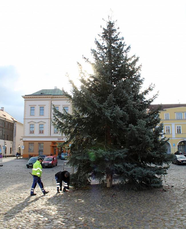 Stavění vánočního stromu na Mírovém náměstí v Litoměřicích, pondělí 22. listopadu