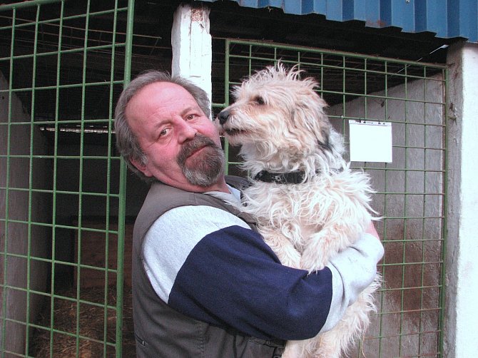 Miroslav Mrhal ve svém útulku v Hněvicích momentálně pečuje o 23 bezprizorních psů různých plemen.