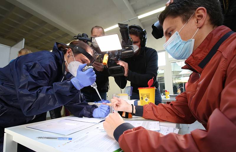 Plošné testování na koronavirus v Litoměřicích