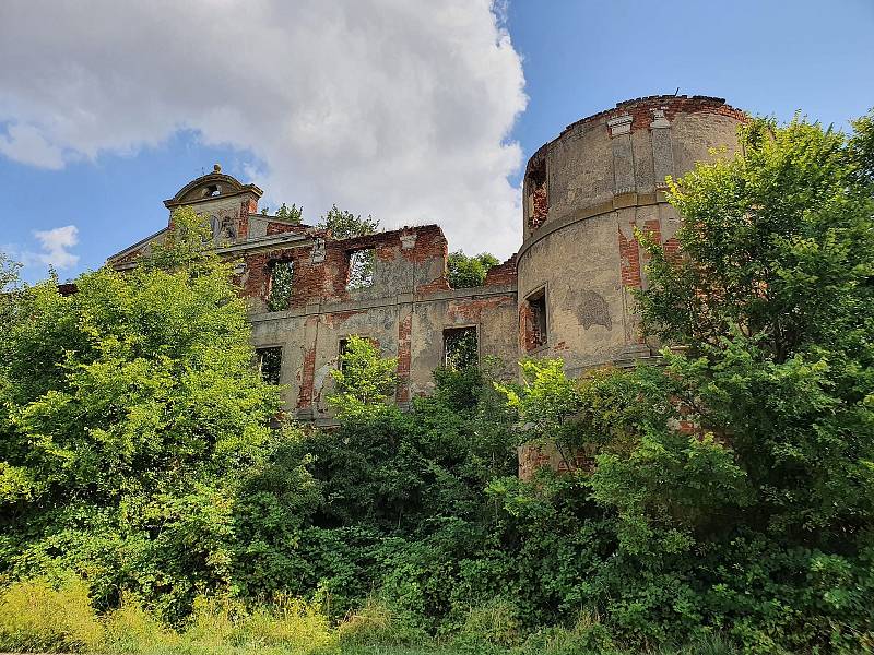 Zchátralý palác prorůstá křovím