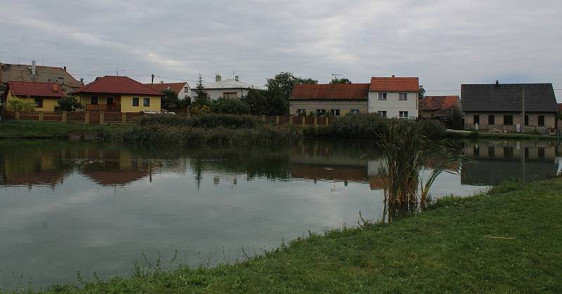 Obec Podsedice leží na jihovýchodním úpatí Českého středohoří zhruba devět kilometrů od Lovosic. Žije tam asi 664 lidí.
