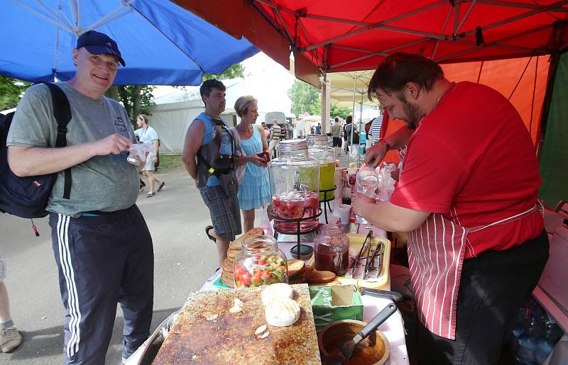 Na 6. ročníku Gastro Food Festu se představilo na 70 vystavovatelů z oboru gastronomie, kteří návštěvníky lákali na řadu nových laskomin připravených například z hadího a krokodýlího masa, z žabích stehýnek i z hmyzu.