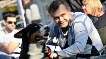 Krajská výstava psů na výstavišti Zahrada Čech v Litoměřicích