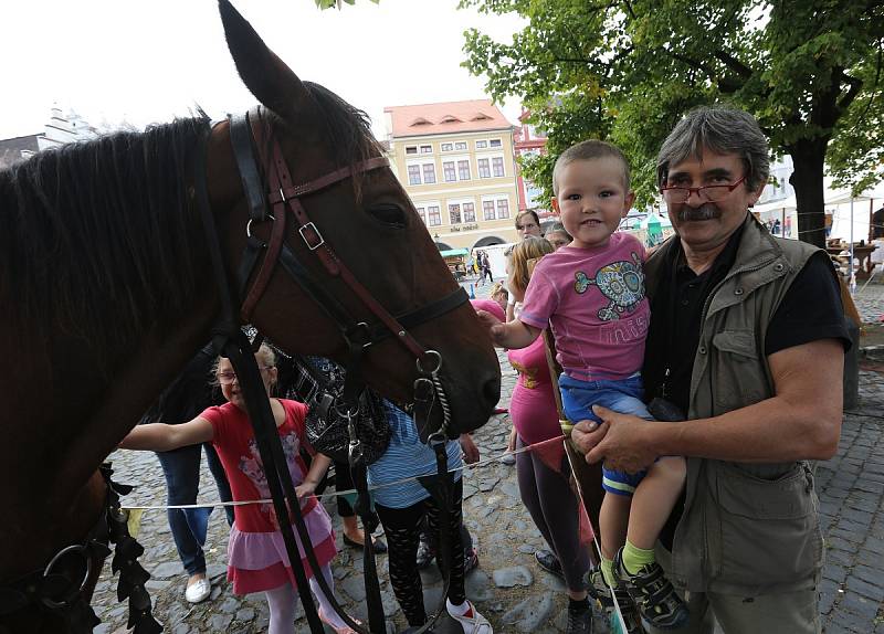 Vinobraní v Litoměřicích - pátek 18. září 2015