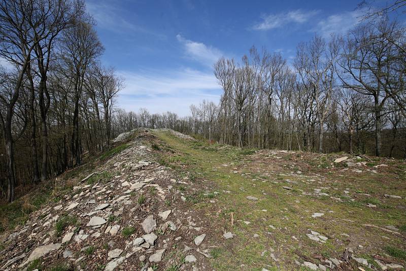 Zřícenina středověkého hradu Kalich u Třebušína na Litoměřicku