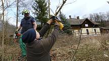 Další z mnoha brigád dobrovolníků a přátel železnice ze Zubrnic proběhla v neděli. Dobrovolníci čistili železniční svršek od náletových dřevin v okolí Levína a Zubrnic.