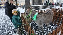 V pátek 4. ledna v podvečer požehnal litoměřický biskup Jan Baxant tříkrálové koledníky.