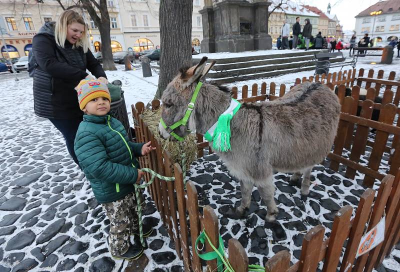 V pátek 4. ledna v podvečer požehnal litoměřický biskup Jan Baxant tříkrálové koledníky.