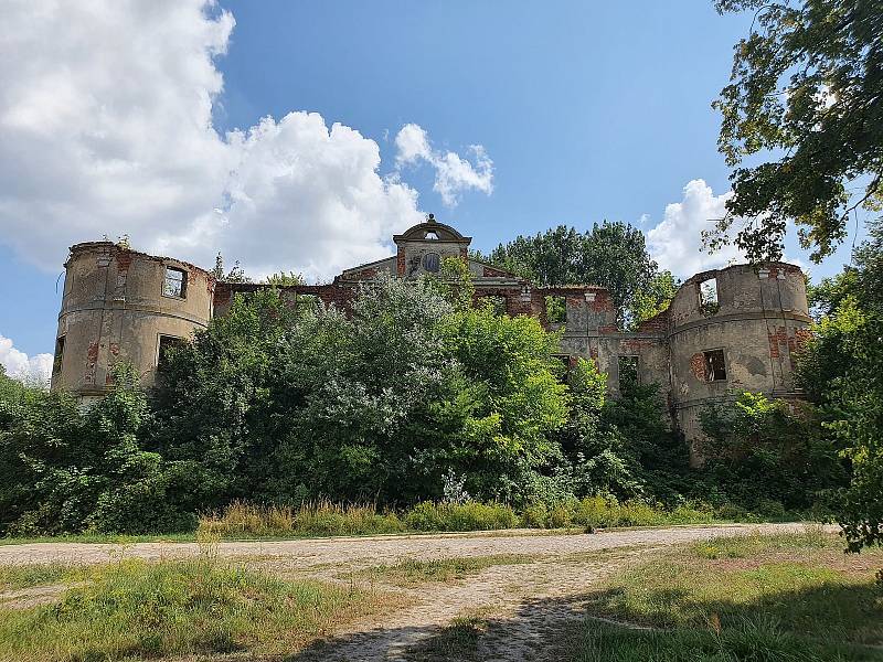 Zchátralý palác prorůstá křovím