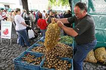 Farmářské trhy v Litoměřicích, sobota 28. května 2011.