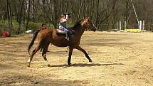 JUJU Hry v Čeřeništi u Litoměřic - sobota 24.4.2010  .