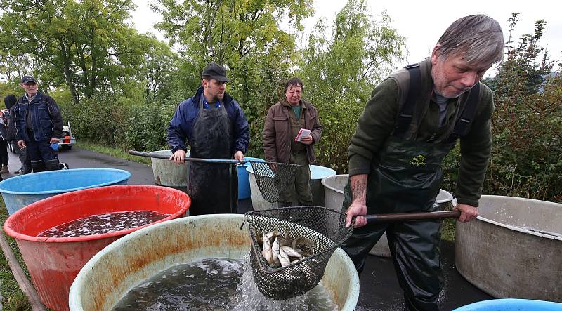 Tradiční podzimní výlov rybníka měl letos kvůli pandemii koronaviru méně přihlížejících diváků.