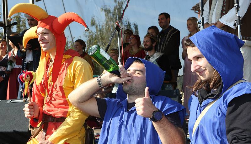 Vinobraní ve Velkých Žernosekách 2017.