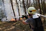 Hasiči bojují s rozsáhlým požárem lesa u Račic