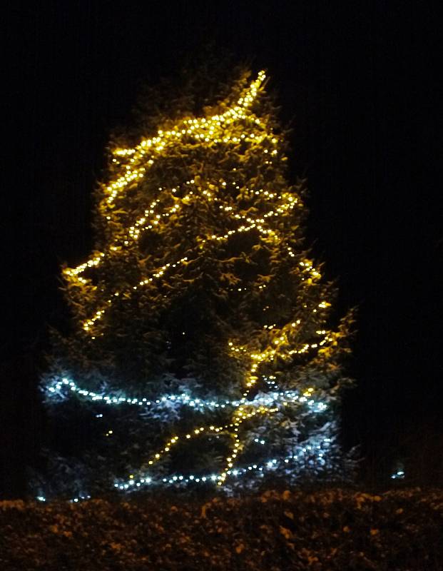 Vánoční strom v Sukoradech